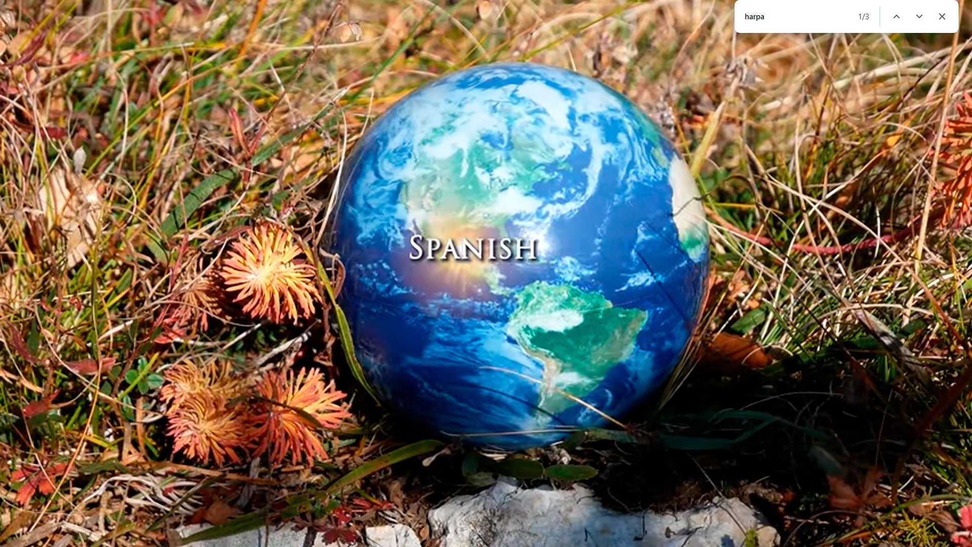 Canción Harpa Dei: fragmentos del Apocalipsis en 12 idiomas